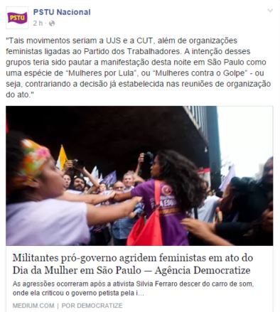 mulheres por luta
